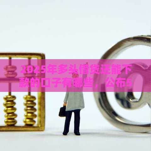 2025年多头借贷还能下款的口子有哪些，公布5个最新高利贷贷款平台