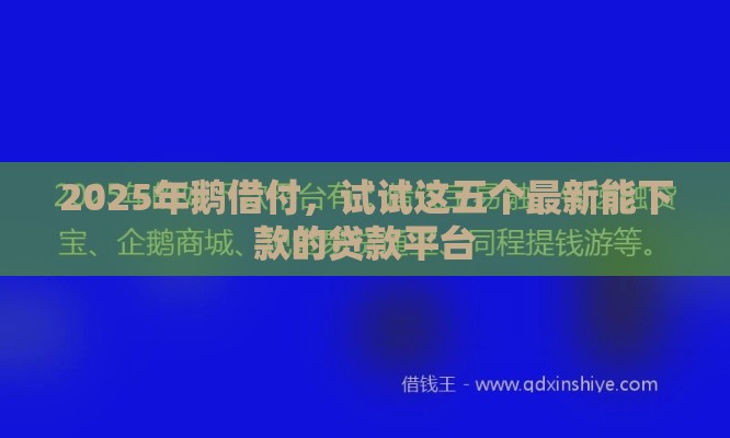 2025年鹅借付，试试这五个最新能下款的贷款平台