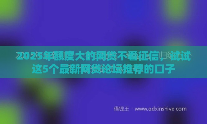 2025年额度大的网贷不看征信，试试这5个最新网贷论坛推荐的口子