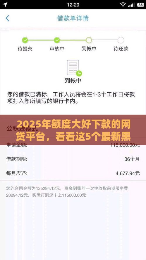 2025年额度大好下款的网贷平台，看看这5个最新黑户撸口子