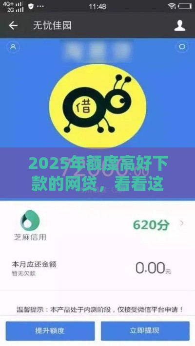 2025年额度高好下款的网贷，看看这五个最新高中生贷款平台