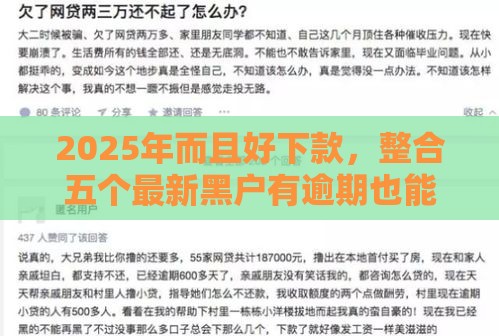 2025年而且好下款，整合五个最新黑户有逾期也能必过的口子