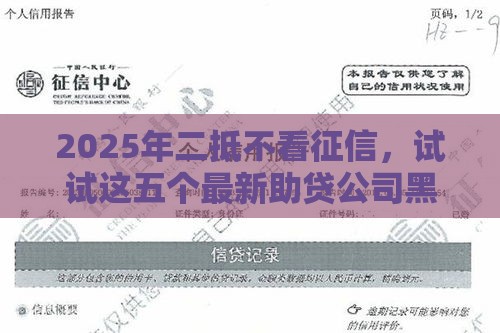 2025年二抵不看征信，试试这五个最新助贷公司黑户口子有什么