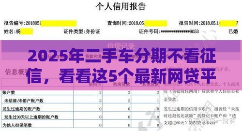 2025年二手车分期不看征信，看看这5个最新网贷平台最怕部门