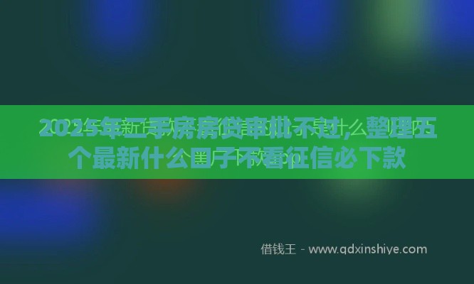 2025年二手房房贷审批不过，整理五个最新什么口子不看征信必下款