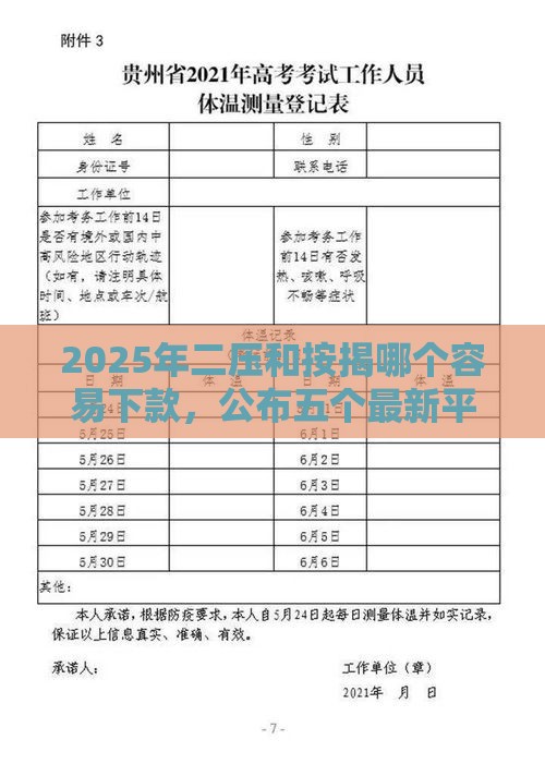 2025年二压和按揭哪个容易下款，公布五个最新平台可以快速借钱