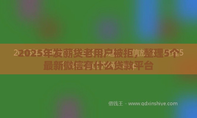 2025年发薪贷老用户被拒，整理5个最新微信有什么贷款平台