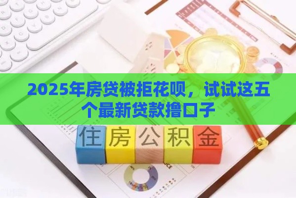 2025年房贷被拒花呗，试试这五个最新贷款撸口子