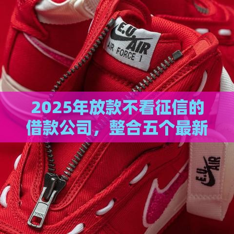 2025年放款不看征信的借款公司，整合五个最新美图e钱包一样的平台