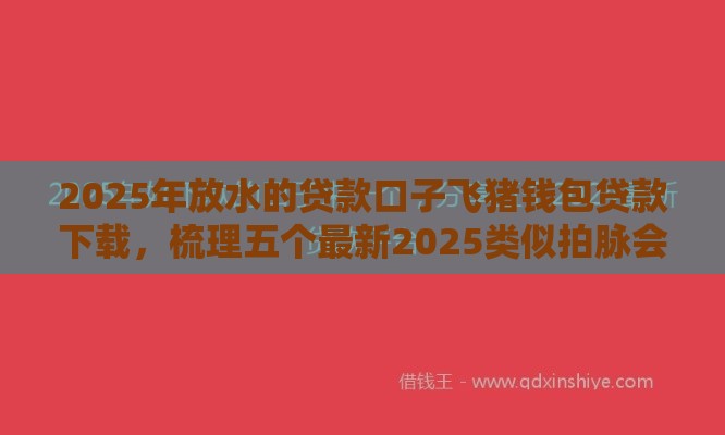 2025年放水的贷款口子飞猪钱包贷款下载，梳理五个最新2025类似拍脉会的口子