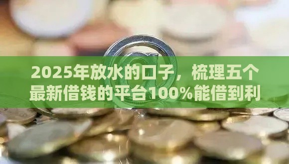 2025年放水的口子，梳理五个最新借钱的平台100%能借到利息低