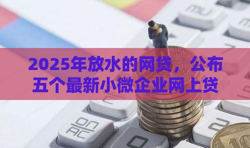 2025年放水的网贷，公布五个最新小微企业网上贷款平台