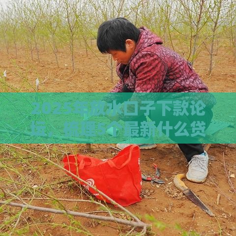 2025年放水口子下款论坛，梳理5个最新什么贷款平台容易通过