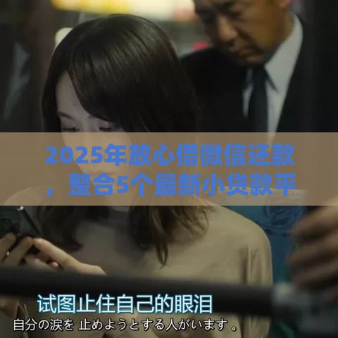 2025年放心借微信还款，整合5个最新小贷款平台好下款