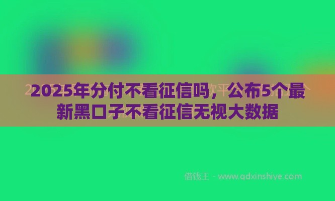 2025年分付不看征信吗，公布5个最新黑口子不看征信无视大数据