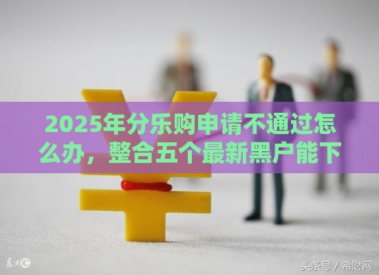 2025年分乐购申请不通过怎么办，整合五个最新黑户能下的口子2025