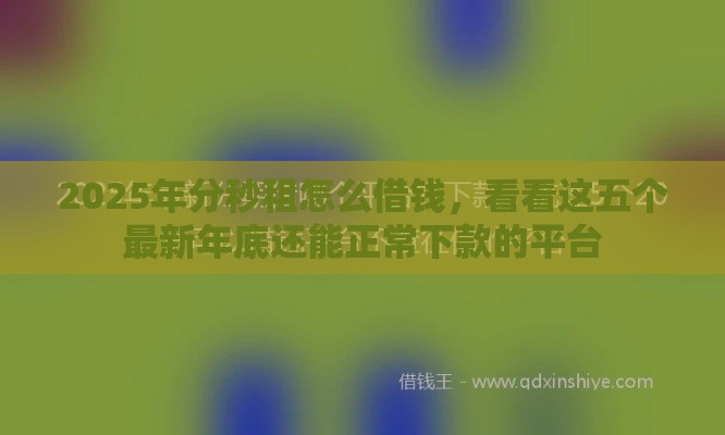 2025年分秒租怎么借钱，看看这五个最新年底还能正常下款的平台