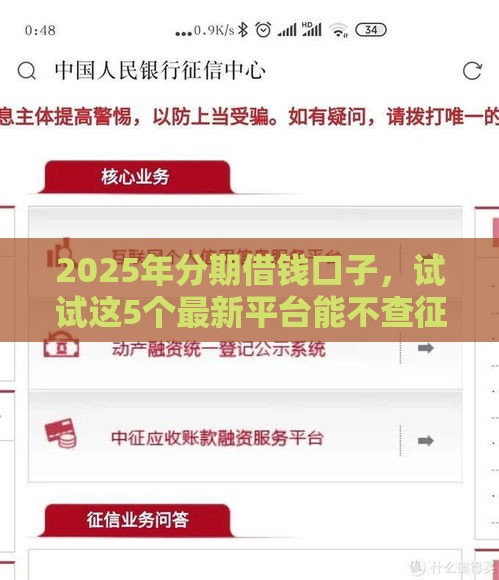 2025年分期借钱口子，试试这5个最新平台能不查征信直接看出来借款额度