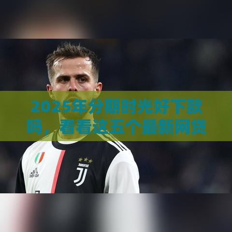 2025年分期时光好下款吗，看看这五个最新网贷平台最好下款