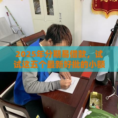 2025年分期易借款，试试这五个最新好批的小额贷款平台