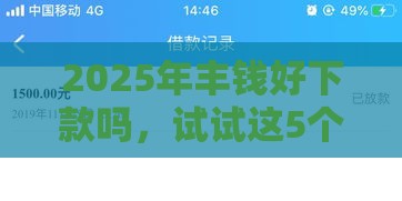 2025年丰钱好下款吗，试试这5个最新平台能借钱