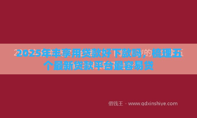 2025年丰享用贷款好下款吗，梳理五个最新贷款平台最容易贷