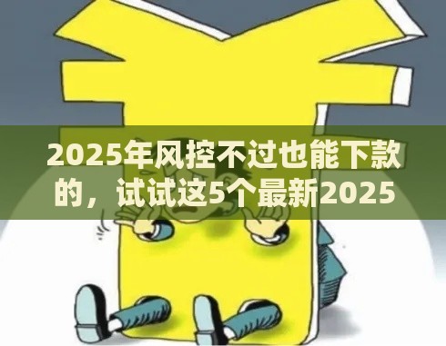 2025年风控不过也能下款的，试试这5个最新2025高炮口子秒下款