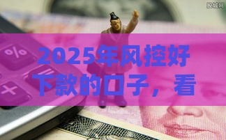2025年风控好下款的口子，看看这五个最新大平台借钱