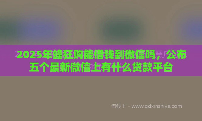 2025年蜂狂购能借钱到微信吗，公布五个最新微信上有什么贷款平台