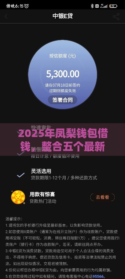 2025年凤梨钱包借钱，整合五个最新平台贷款