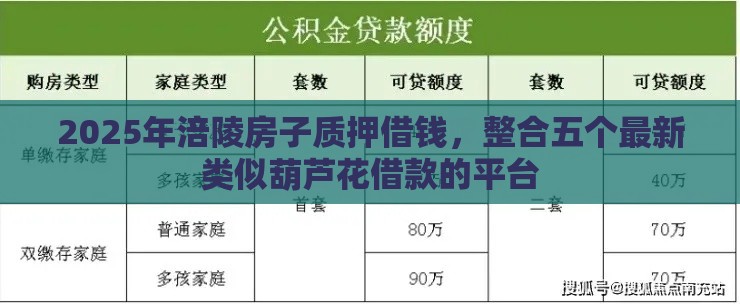 2025年涪陵房子质押借钱，整合五个最新类似葫芦花借款的平台