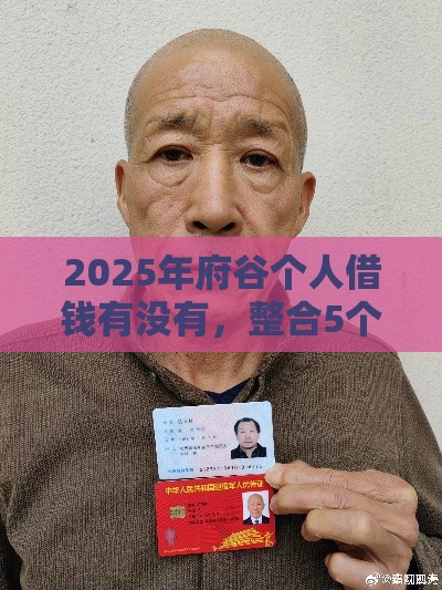 2025年府谷个人借钱有没有,整合5个最新手机号贷款平台 2025年府谷个人借钱有没有,整合5个最新手机号贷款平台