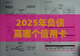2025年负债高哪个信用卡好通过，梳理5个最新征信花借款平台容易通过