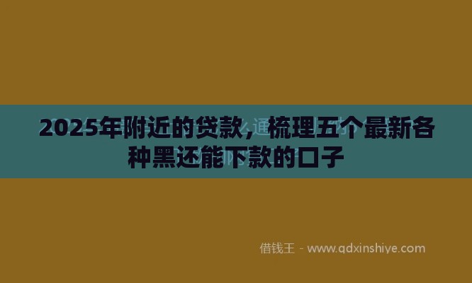 2025年附近的贷款，梳理五个最新各种黑还能下款的口子