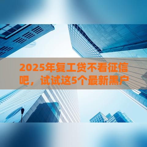 2025年复工贷不看征信吧，试试这5个最新黑户一定能过的平台