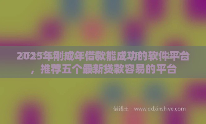 2025年刚成年借款能成功的软件平台，推荐五个最新贷款容易的平台
