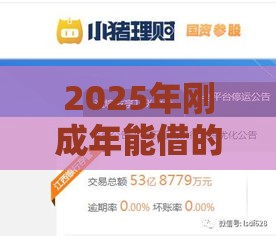 2025年刚成年能借的正规网贷平台，梳理5个最新16岁小额贷款平台