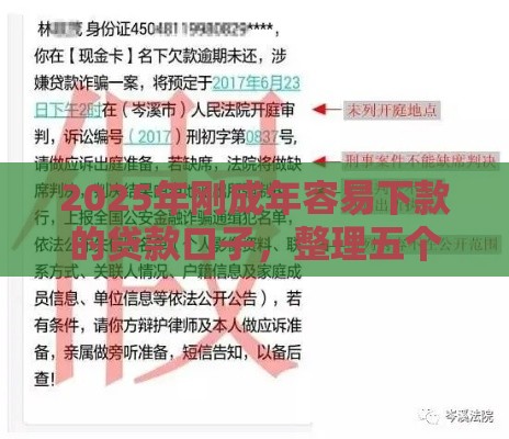 2025年刚成年容易下款的贷款口子，整理五个最新失信人限高网贷口子