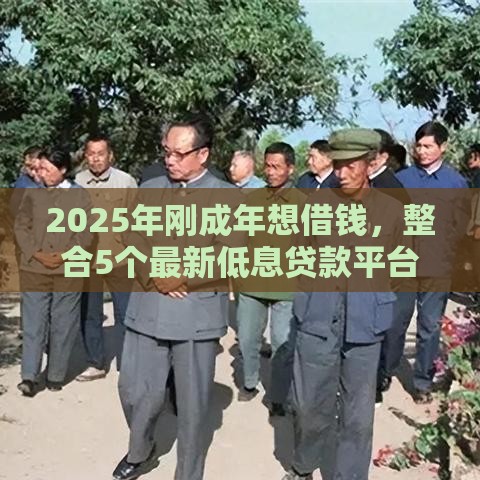 2025年刚成年想借钱，整合5个最新低息贷款平台