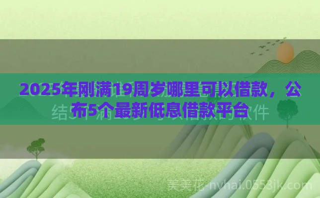 2025年刚满19周岁哪里可以借款,公布5个最新低息借款平台 2025年刚满19周岁哪里可以借款,公布5个最新低息借款平台