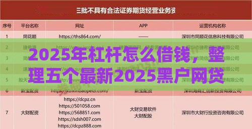 2025年杠杆怎么借钱，整理五个最新2025黑户网贷必下款的平台