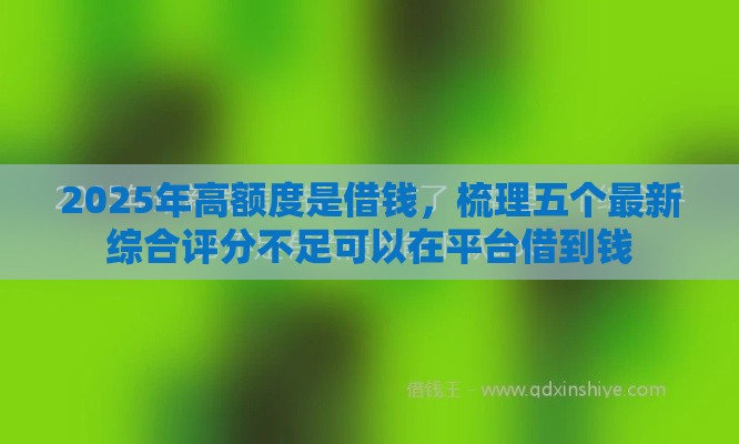2025年高额度是借钱，梳理五个最新综合评分不足可以在平台借到钱