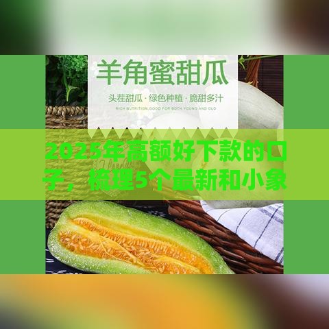 2025年高额好下款的口子，梳理5个最新和小象优品一样好下款的口子