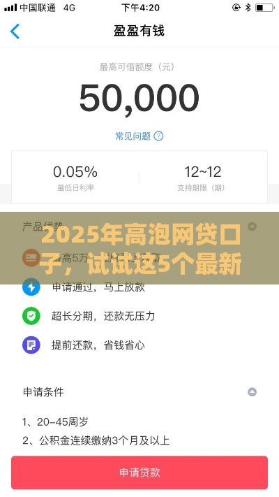 2025年高泡网贷口子，试试这5个最新贷款口子