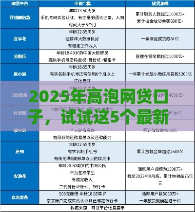 2025年高泡网贷口子，试试这5个最新贷款口子