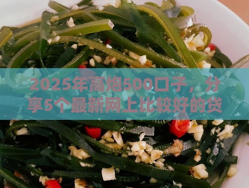 2025年高炮500口子，分享5个最新网上比较好的贷款平台