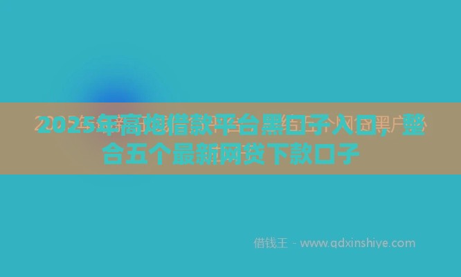 2025年高炮借款平台黑口子入口，整合五个最新网贷下款口子