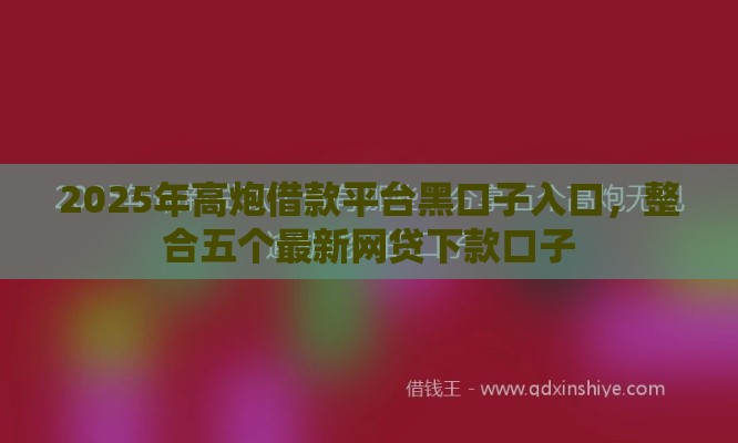 2025年高炮借款平台黑口子入口，整合五个最新网贷下款口子