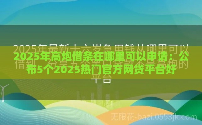 2025年高炮借条在哪里可以申请：公布5个2025热门官方网贷平台好
