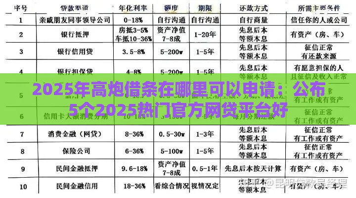 2025年高炮借条在哪里可以申请：公布5个2025热门官方网贷平台好